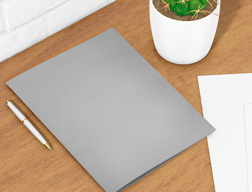SUBCARPETA LIDERPAPEL FOLIO GRIS 180G/M2