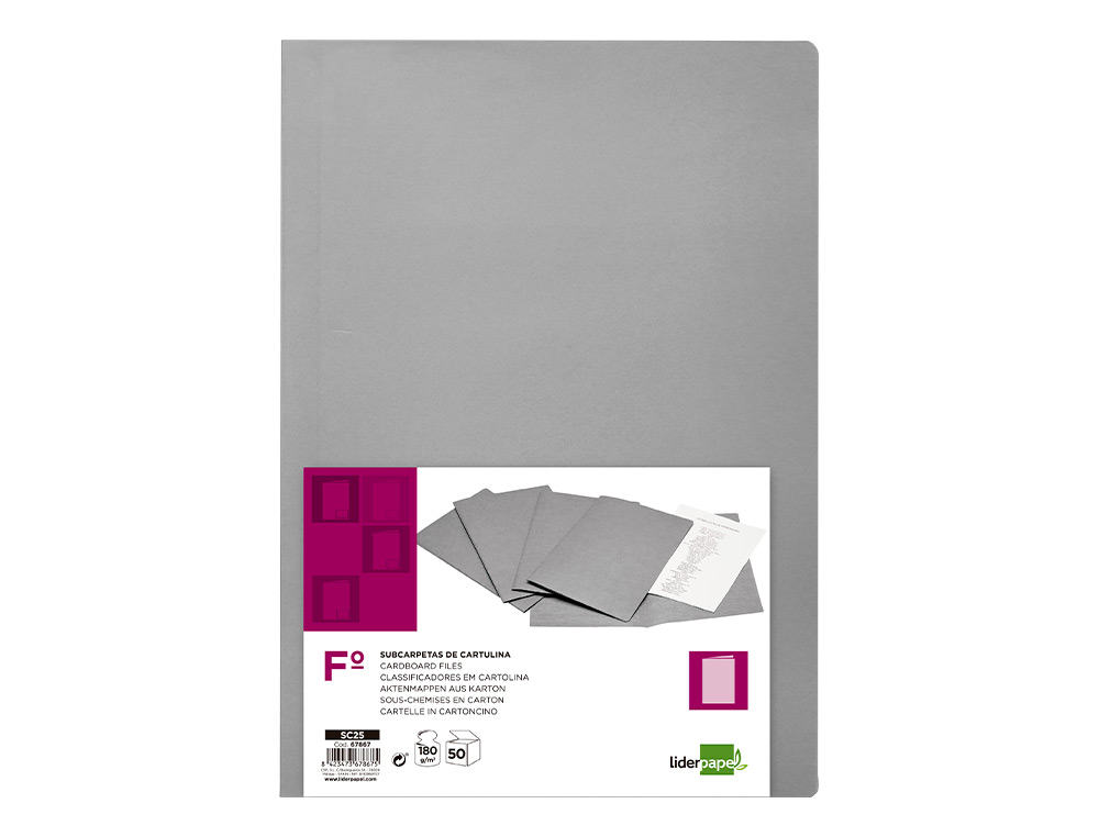 SUBCARPETA LIDERPAPEL FOLIO GRIS 180G/M2
