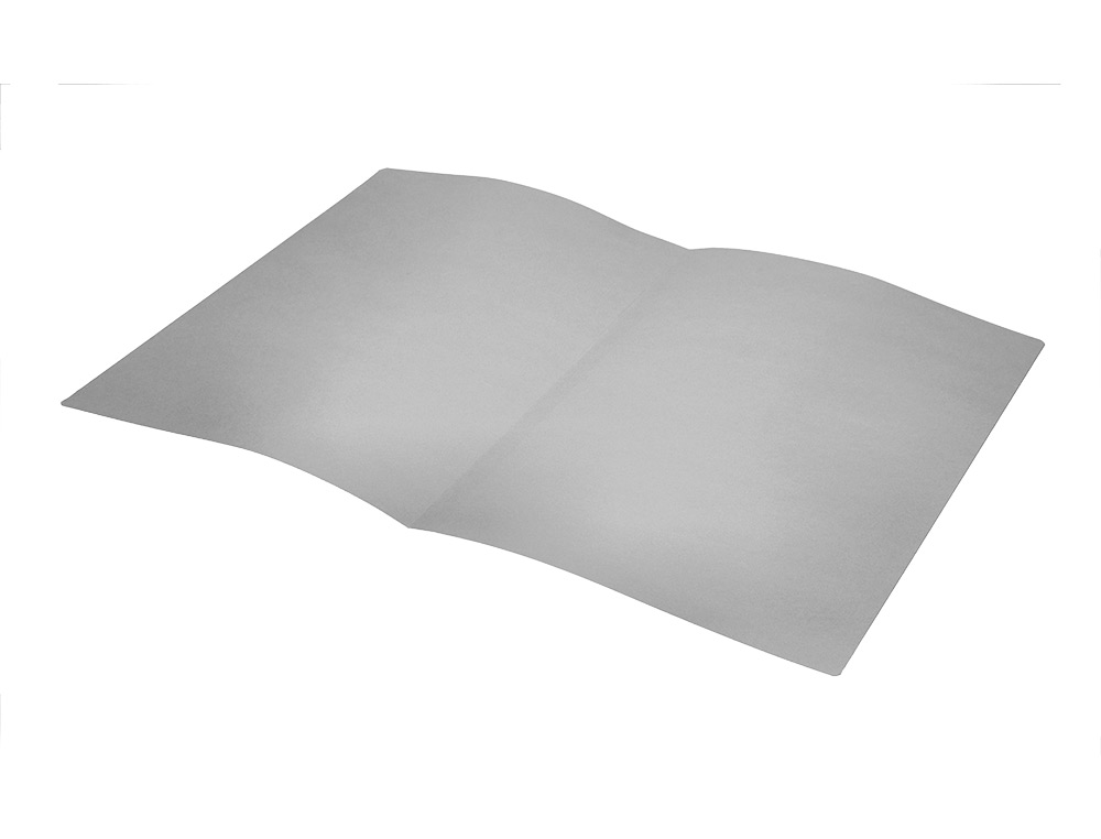 SUBCARPETA LIDERPAPEL FOLIO GRIS 180G/M2